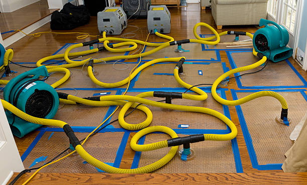 Professional Crawl Space Water Removal technician working in East Jewett, NY
